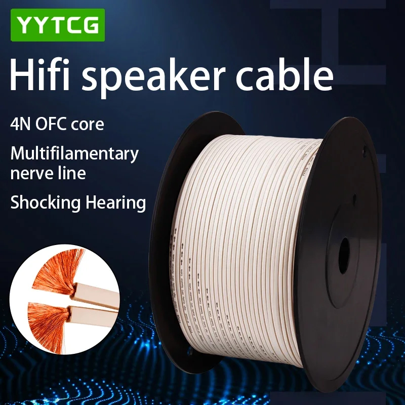 Home Cinema Hall - YYTCG لتقوم بها بنفسك كابل مكبر
